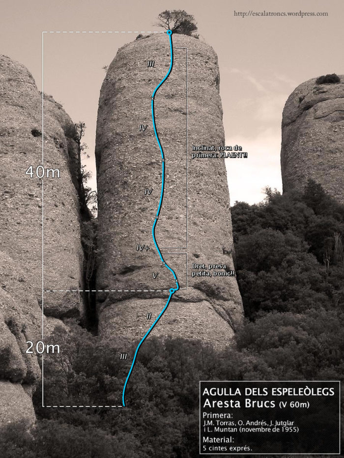 Ressenya de la via Aresta Brucs a l'Agulla dels Espeleòlegs (Agulles-Montserrat)